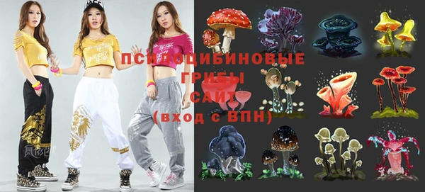 spice Алексеевка
