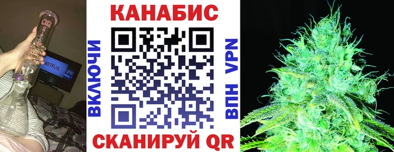 где купить наркоту  даркнет телеграм  Бошки Шишки сатива  Куйбышев 